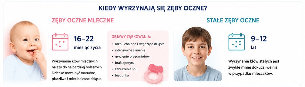 Wyrzynanie zębów ocznych - kiedy się zaczyna i jak przebiega?