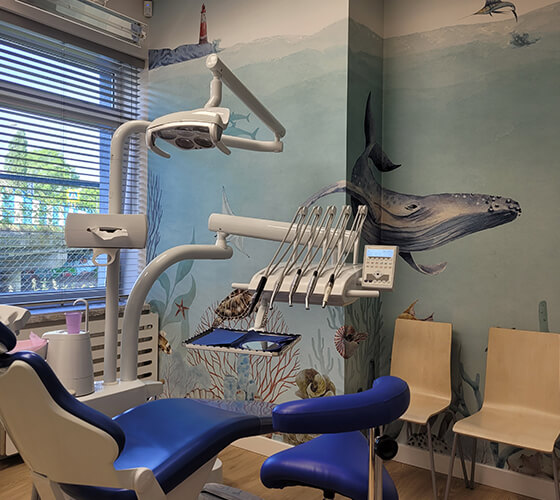 stomatologia-zielona-gora endodoncja współpraca zielona góra